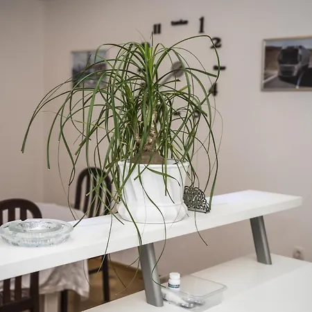 Kuca Marijanovic Villa *